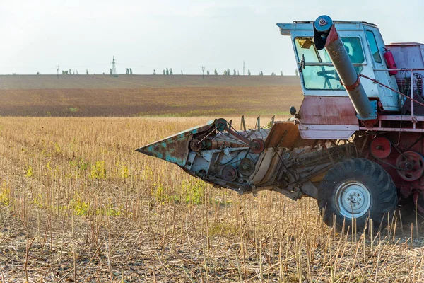 Pemanen Sawah Menabur Mengumpulkan Panen Musim Gugur — Stok Foto