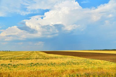 Mavi gökyüzü arka plan üzerinde bir kabuk ile sarı alan.