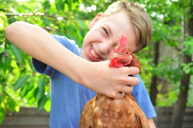 Kızgın çocuk kahverengi tavuk elinde tutar ve onu boynundan yakalar