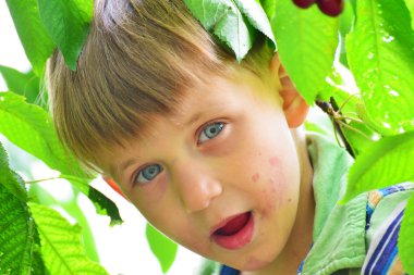 Aktif ve neşeli bir çocuk toplar ve kiraz ağaç yiyor.