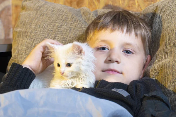 Young Cheerful Little Boy Playing White Cat Couch — Stock Photo, Image