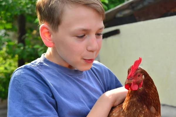 Ein Junge Hält Ein Braunes Huhn Und Lächelt — Stockfoto