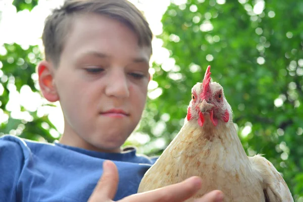 Chico Sostiene Pollo Blanco Sonríe — Foto de Stock