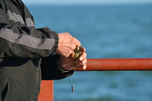 Homme Pris Poisson Canne Pêche Tenu Dans Ses Mains Essayant — Photo