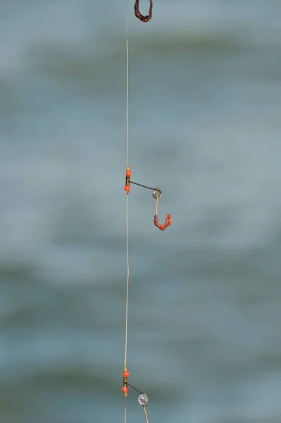 Canna Pesca Con Gancio Vermi Pronti Uso — Foto Stock