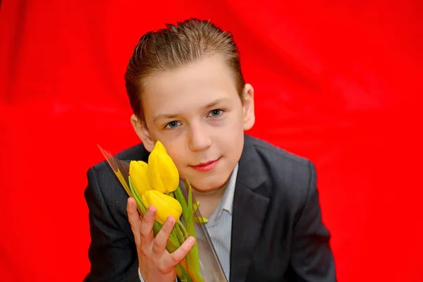 Chłopak Garniturze Tulipany Czerwonym Tle Portret Fotografia Studio — Zdjęcie stockowe