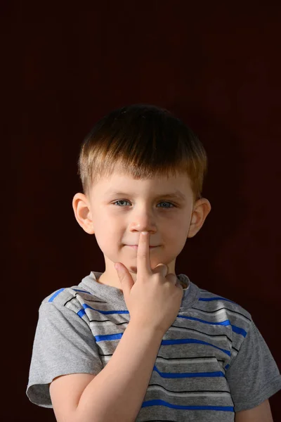 Hält Der Junge Einen Finger Vor Den Mund Porträt Eines — Stockfoto