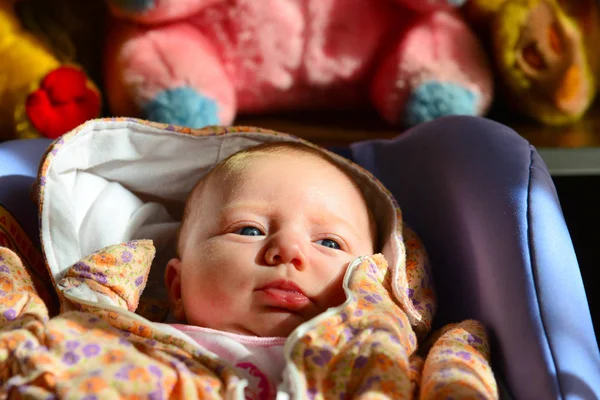 Newborn Baby Lies Looks Stroller Background Children Soft Toys — Stock Photo, Image