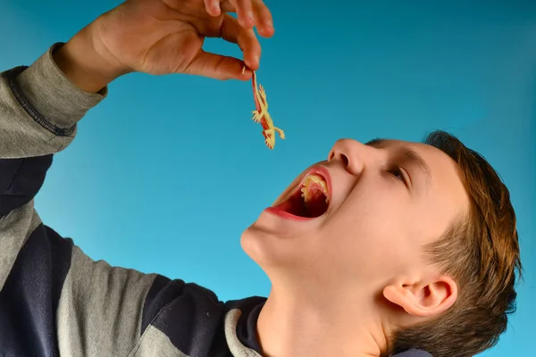 El niño se mete en la boca un pequeño lagarto rojo sobre un fondo azul en el estudio — Foto de Stock