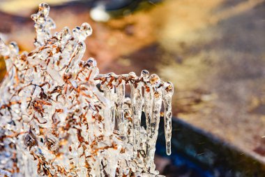 Buz sarkıtları akşam gün batımını arka plan üzerinde donmuş çimenlerin üzerinde