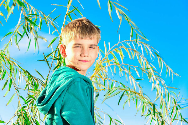 Портрет мальчика на иве, сидящего на дереве крупным планом
.