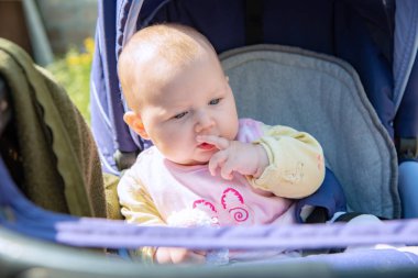 Yeni doğmuş bir bebek bebek arabasında oturur ve etrafa bakar, etrafındaki dünyayı inceler..