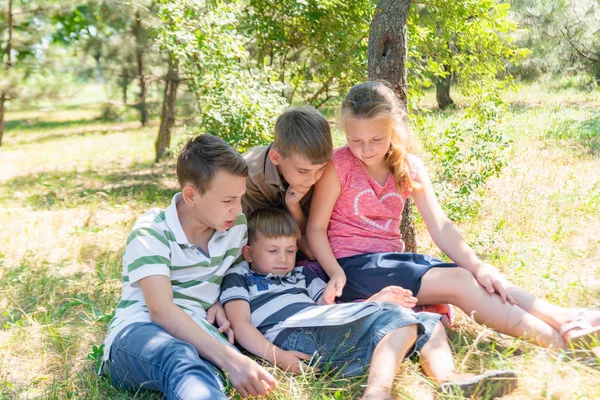 Kinder lernen in der Natur, vier Kinder lesen im Park unter freiem Himmel ein Buch. Schüler bereiten sich auf die Schule vor. — Stockfoto