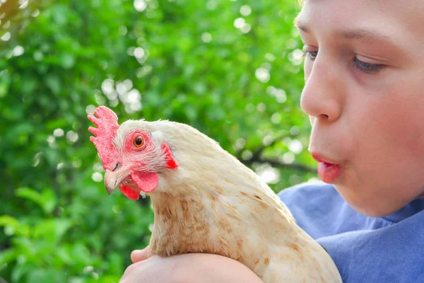El niño sostiene una gallina en sus manos y la abraza, el concepto de la unidad del hombre y la naturaleza . — Foto de Stock