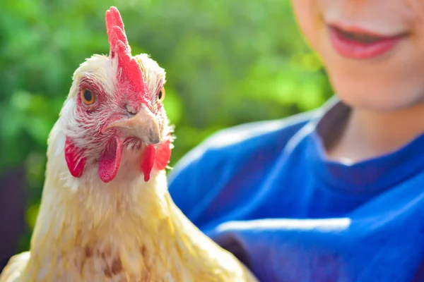 El niño sostiene una gallina en sus manos y la abraza, el concepto de la unidad del hombre y la naturaleza . — Foto de Stock