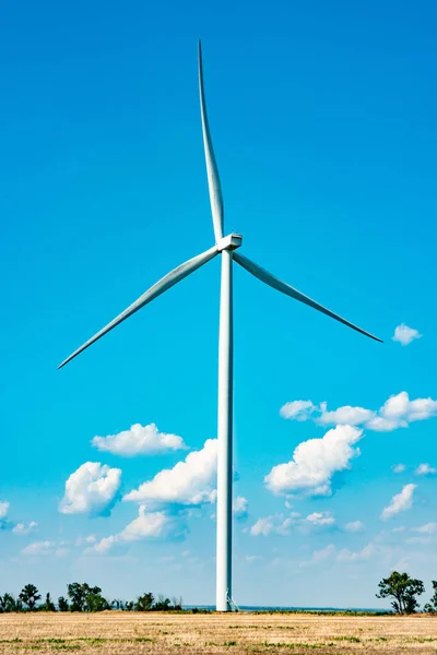 Wind generators with turbine engines and large blades. Electricity air generators are placed in the field.