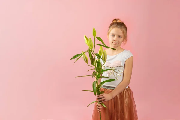 Pembe bir arka plan üzerinde stüdyoda bir çiçek ile şık ve çekici kız. — Stok fotoğraf