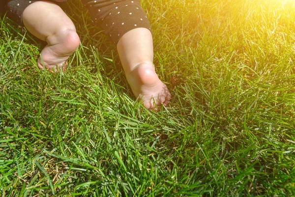 Little child on the grass, baby feet on the green grass in the park. — Stock Photo, Image