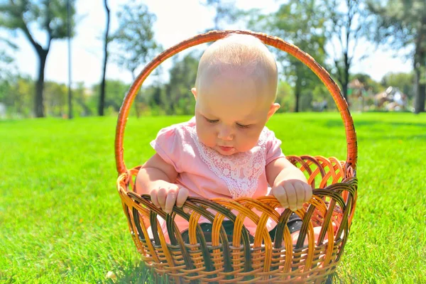 Little child in a wicker basket, joyful and happy little girl in the park. — Stock Photo, Image