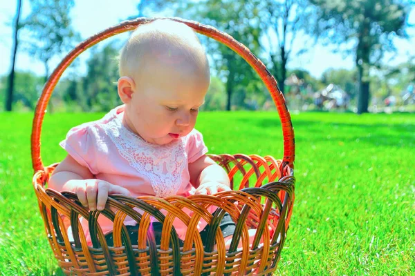 Malé dítě v proutěném koši, radostné a šťastné děvčátko v parku. — Stock fotografie