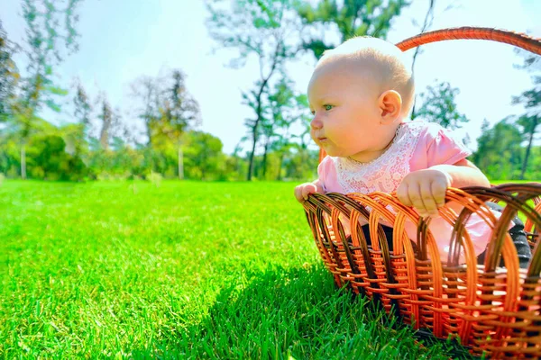 Kleines Kind im Weidenkorb, fröhliches und glückliches kleines Mädchen im Park. — Stockfoto