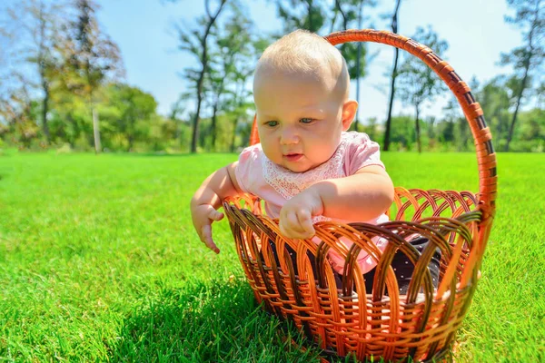 Kleines Kind im Weidenkorb, fröhliches und glückliches kleines Mädchen im Park. — Stockfoto