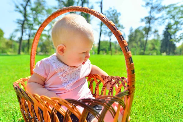 Little child in a wicker basket, joyful and happy little girl in the park. — Stock Photo, Image