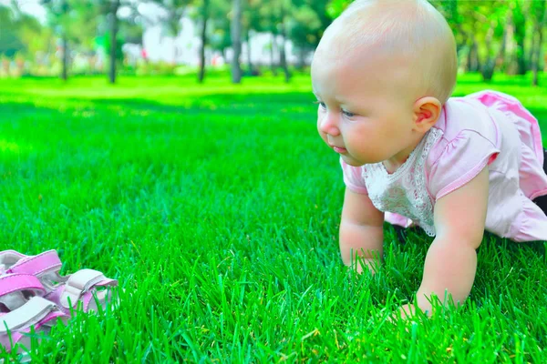 Маленький ребенок ползает по зеленой траве . — стоковое фото