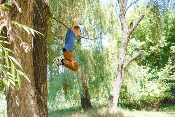 Menino pulando de uma árvore grande para baixo, foto de ângulo largo . — Fotografia de Stock