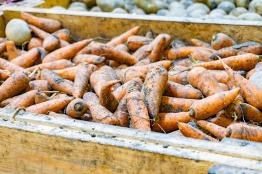 Satılık bir mağaza tezgahında bir süpermarkette Havuç