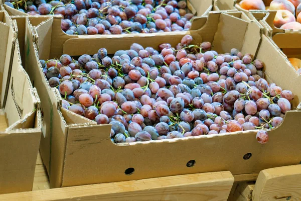 Geurende en sappige druiven op de toonbank en in een houten container in de winkel. — Stockfoto