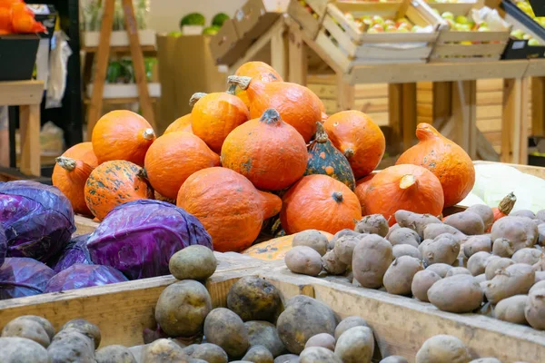 Pumpkin in a supermarket on a store counter for sale — Stock Photo, Image
