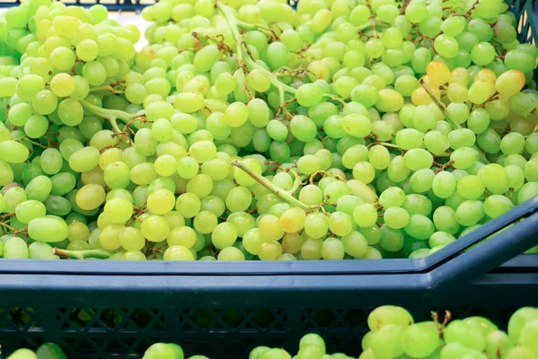 Geurende en sappige druiven op de toonbank en in een houten container in de winkel. — Stockfoto