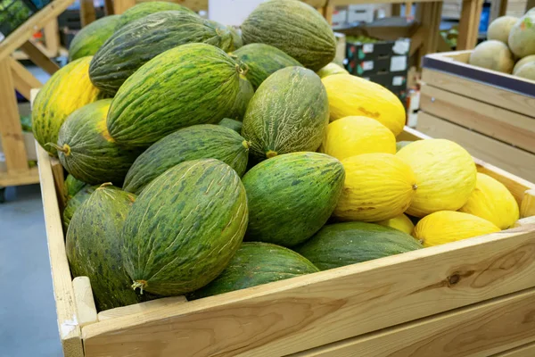 Meloen in supermarkt lades op een winkel teller te koop. — Stockfoto