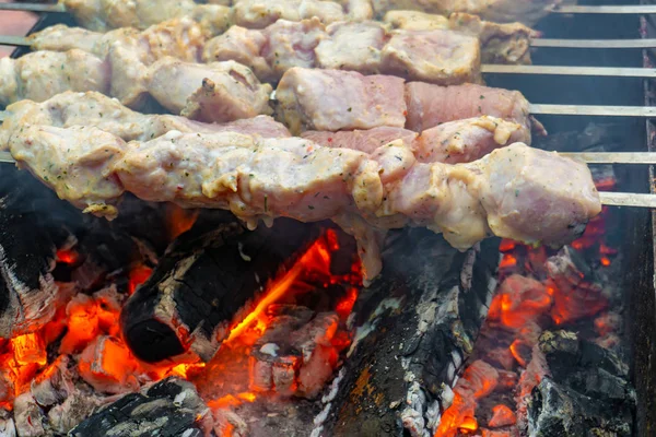 Ψητό σουβλάκι, ψημένο κρέας σε σουβλάκια στη σχάρα. — Φωτογραφία Αρχείου