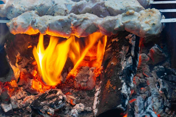 火の上にシシケバブ、グリルの串に焼き肉. — ストック写真