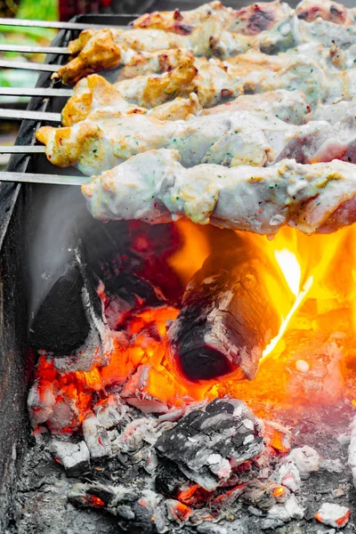 Shish kebabs en el fuego, carne al horno en pinchos en la parrilla . —  Fotos de Stock