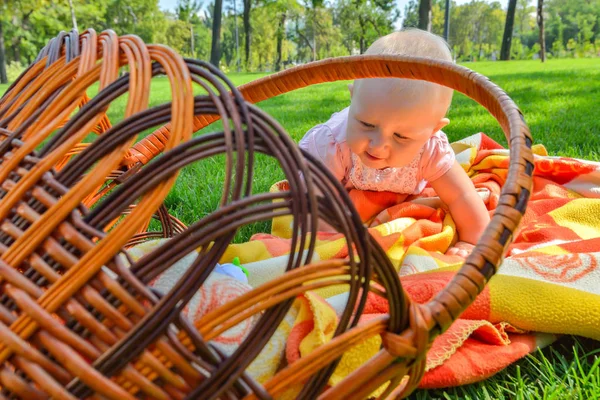 Bambino piccolo in un parco su erba verde su una lettiera in un cesto di paglia . — Foto Stock