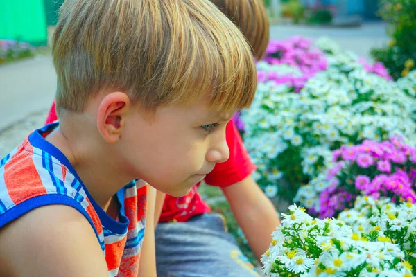 Niño oliendo flores en un parque en un jardín de flores —  Fotos de Stock