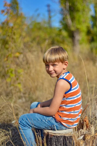Retrato de um menino sentado em um toco em um parque em um dia de verão . — Fotografia de Stock