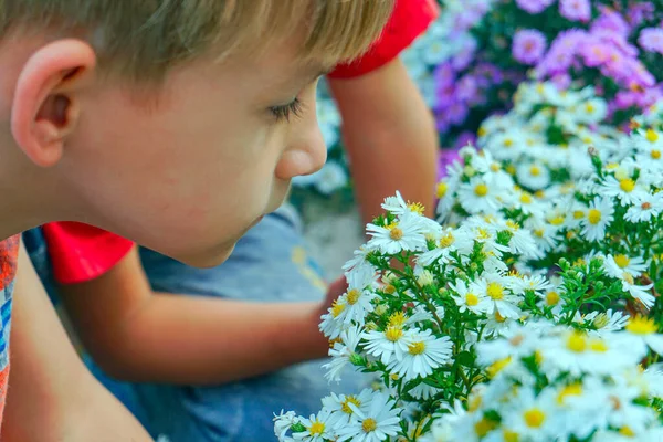 Niño oliendo flores en un parque en un jardín de flores —  Fotos de Stock