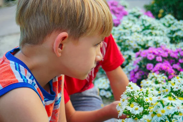 Niño oliendo flores en un parque en un jardín de flores —  Fotos de Stock