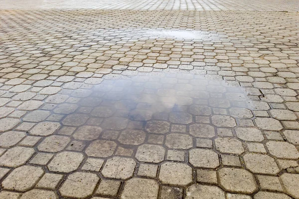 Pool Water Rain Tile Yard — Stock Photo, Image