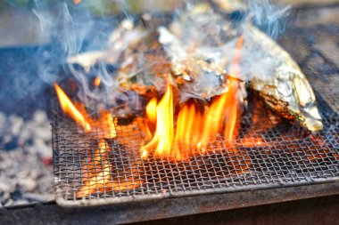 Ateşte ızgarada pişmiş balık, piknik yemeği. Doğadaki ızgarada odun ateşinden ve ısısından..