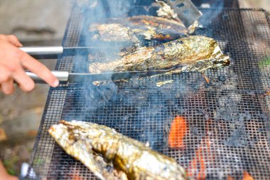 Ateşte ızgarada pişmiş balık, piknik yemeği. Doğadaki ızgarada odun ateşinden ve ısısından..