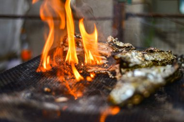 Folyoda pişmiş balık ızgarada, ateşte, barbeküde yatıyor.