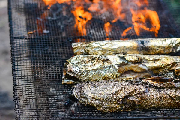 Fogo Grelha Para Cozinhar Peixe Cozido Forno Uma Grade — Fotografia de Stock