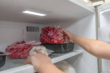 Bir kadın dondurucuya dondurulmuş meyve ürünleri koyar, uzun vadede korunması için..