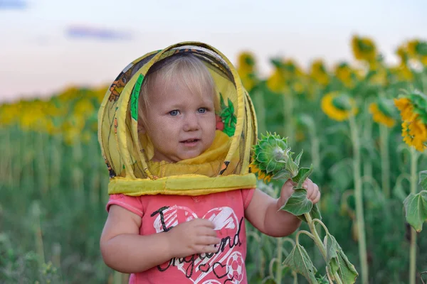Mała Dziewczynka Dziecięcej Masce Pszczelarza Odrywa Głowy Słonecznikowi — Zdjęcie stockowe