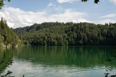 Sakin bir göl parlak mavi gökyüzünü ve kabarık bulutları yansıtırken, yoğun yeşil ormanlar huzurlu suları çerçeveler. İnsanlar kıyı boyunca eğlence faaliyetlerini seviyorlar..